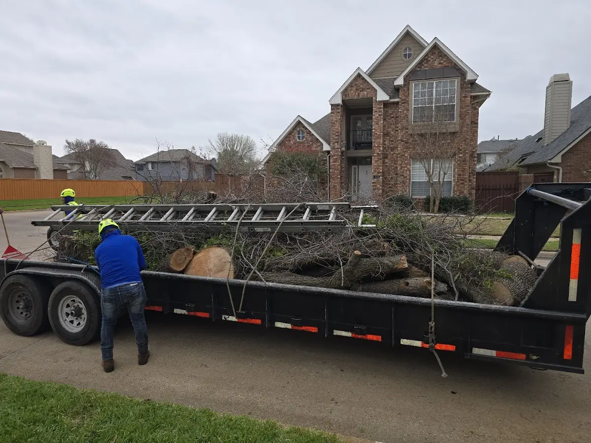 Expert Tree Pest Control with proper safety equipment in Rifton